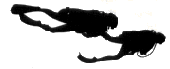 couple_divers.gif (3225 bytes)