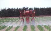 spraying chemicals on corn field