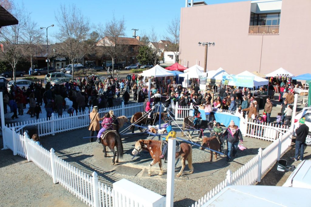 Pony Ride - Pony Ride Insurance - Petting Zoo - Petting Zoo Insurance - Pony