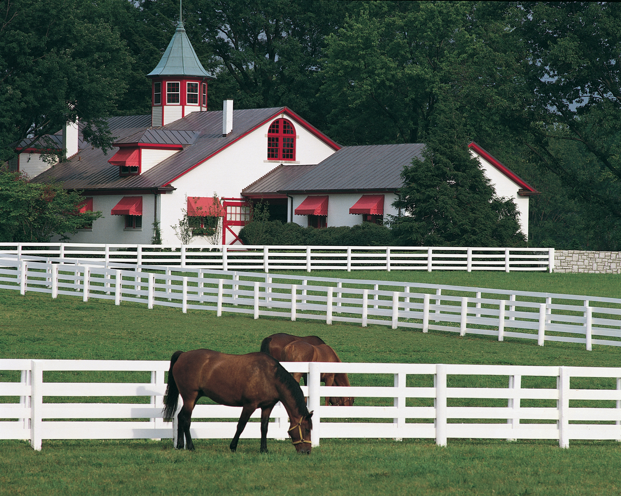 Two brown horses grazing in paddocks in front of a white barn with red trim.
