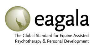 Equine Assisted Therapy Insurance_Eagala