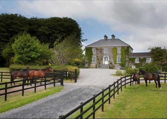 Four horses in paddocks in front of a two story grey brick house with a gravel driveway. 