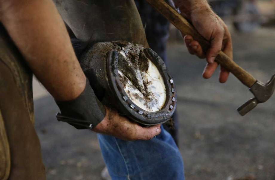 Farrier Insurance Farrier