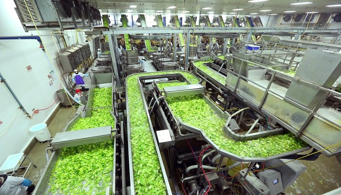 Food Processing Food Processing Insurance Manufacturer Insurance