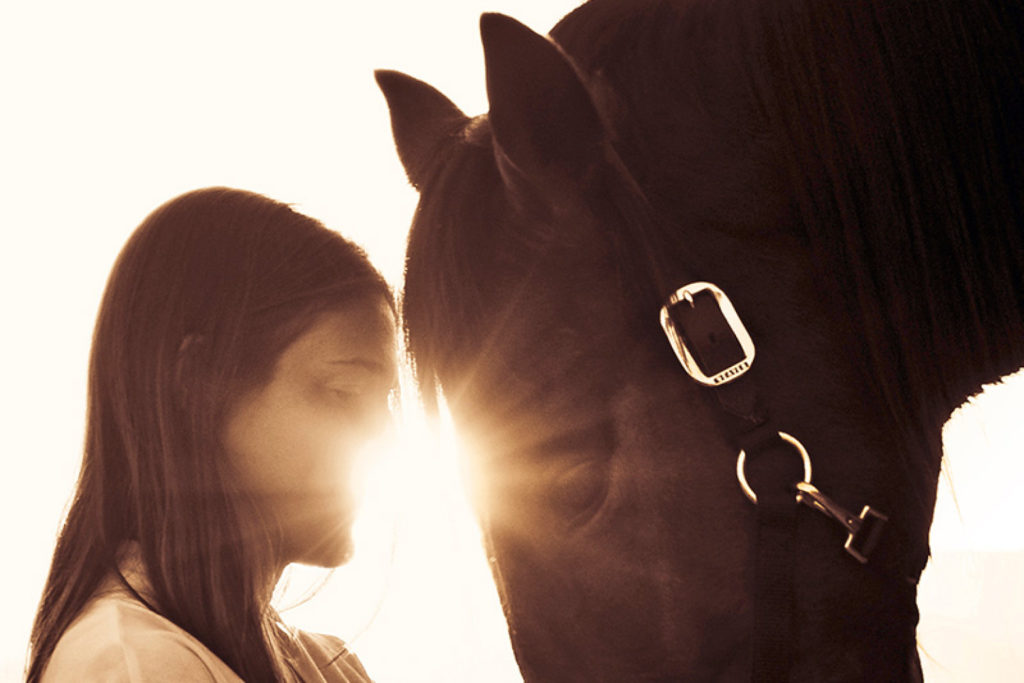 Equine Assisted Therapy Explained - EAT - Equine Assisted Therapy