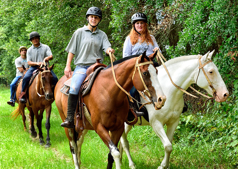 Guided Trail Ride Insurance - Guided Trail Ride - Trail Ride - Outfitters Insurance - Guided Trail Ride