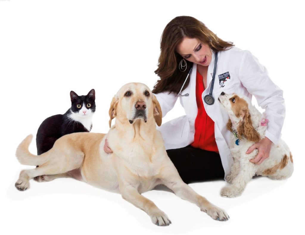 Veterinary - Veterinarian - Veterinarian Insurance - Veterinary Insurance