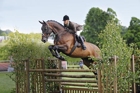 Horse Show Insurance - Equine Event Insurance - Event Insurance - Equine Event