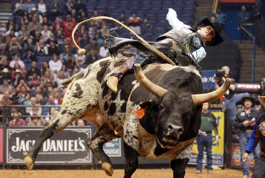Rodeo Insurance - Rodeo - Rodeo Event Insurance - Rodeo Liability - Rodeo Event