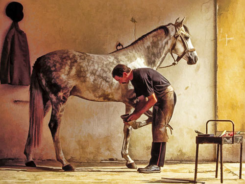 Liability Auto Insurance >> Farrier Insurance - Farrier Liability Insurance - Allen Financial Insurance Liability Auto Insurance >> Farrier Insurance - Farrier Liability Insurance - Allen Financial Insurance