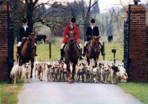 Hunt Club Insurance - Fox Hunt Club Insurance - Fox Hunt 