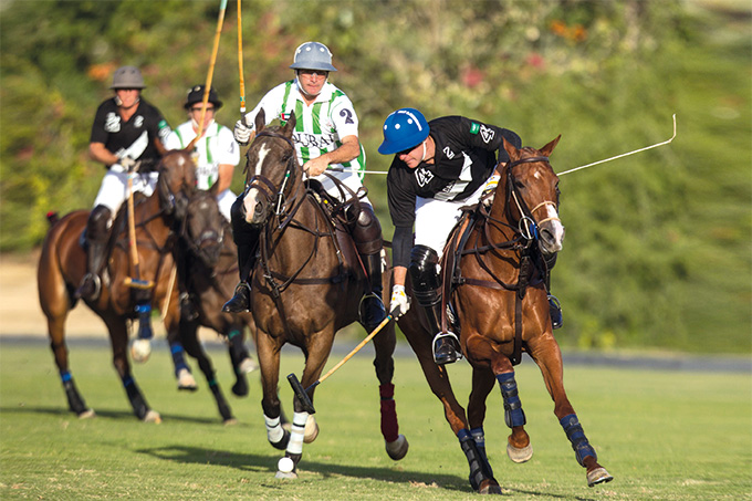 Polo Club Insurance - Polo - Polo Club - USPA Polo - USPA Polo Insurance 