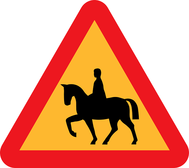 Rules for Working Safely With Horses