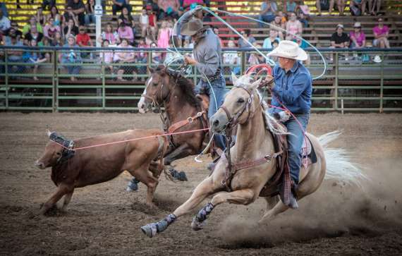 Rodeo Insurance - Rodeo - Rodeo Event Insurance - Rodeo Liability - Rodeo Event