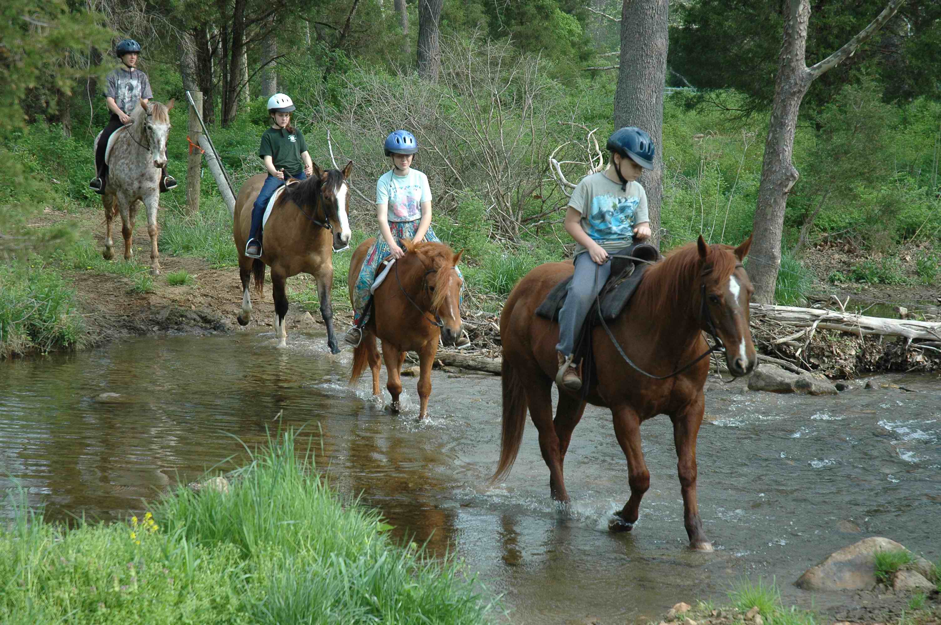 Four people riding horses across a stream on a trail ride.