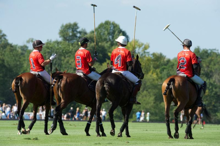 Polo Club Insurance - Polo - Polo Club - USPA Polo - USPA Polo Insurance 