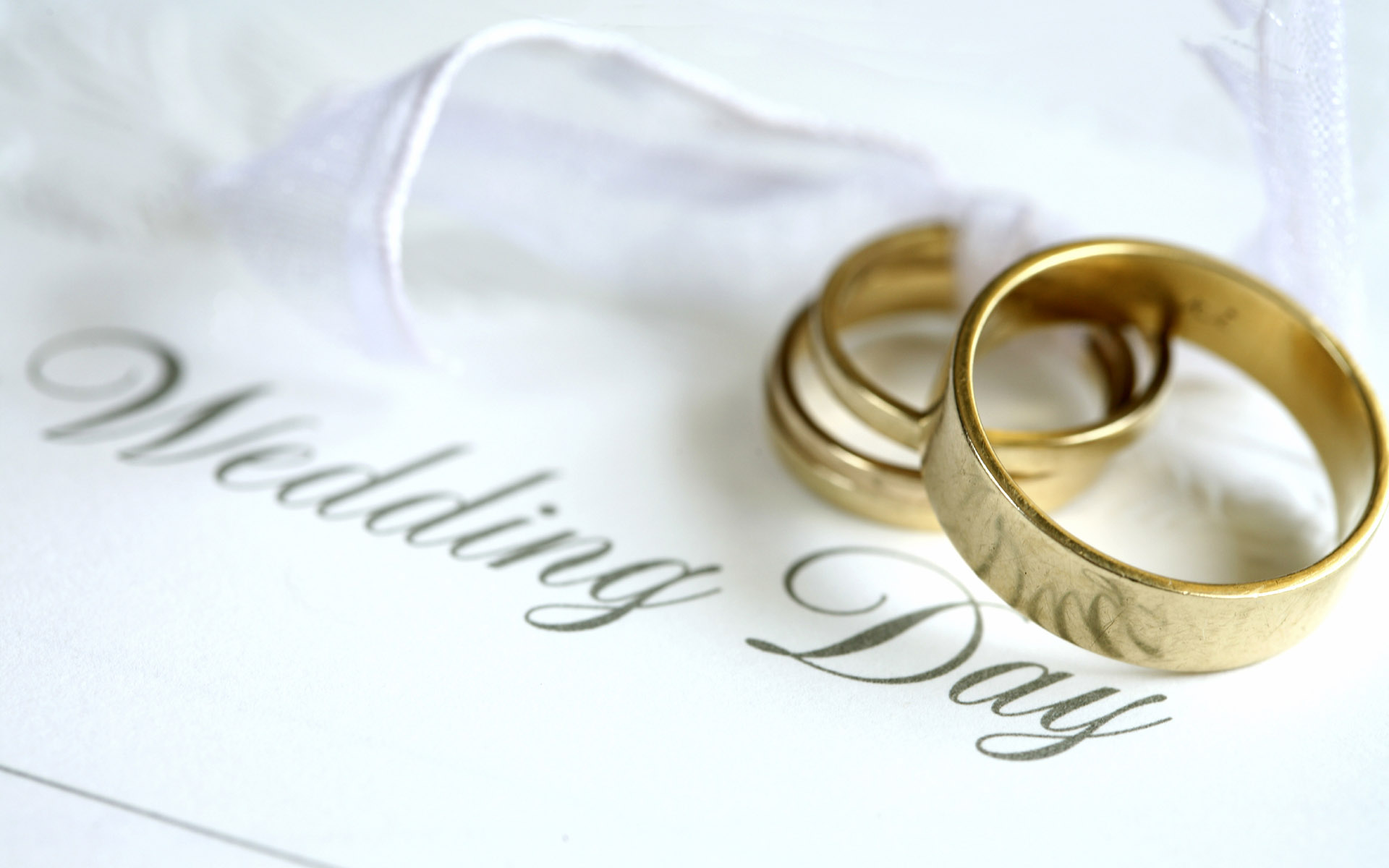 Wedding Insurance - Wedding Event - Wedding Event Insurance - insurance | wedding event insurance - wedding insurance | wedding event
