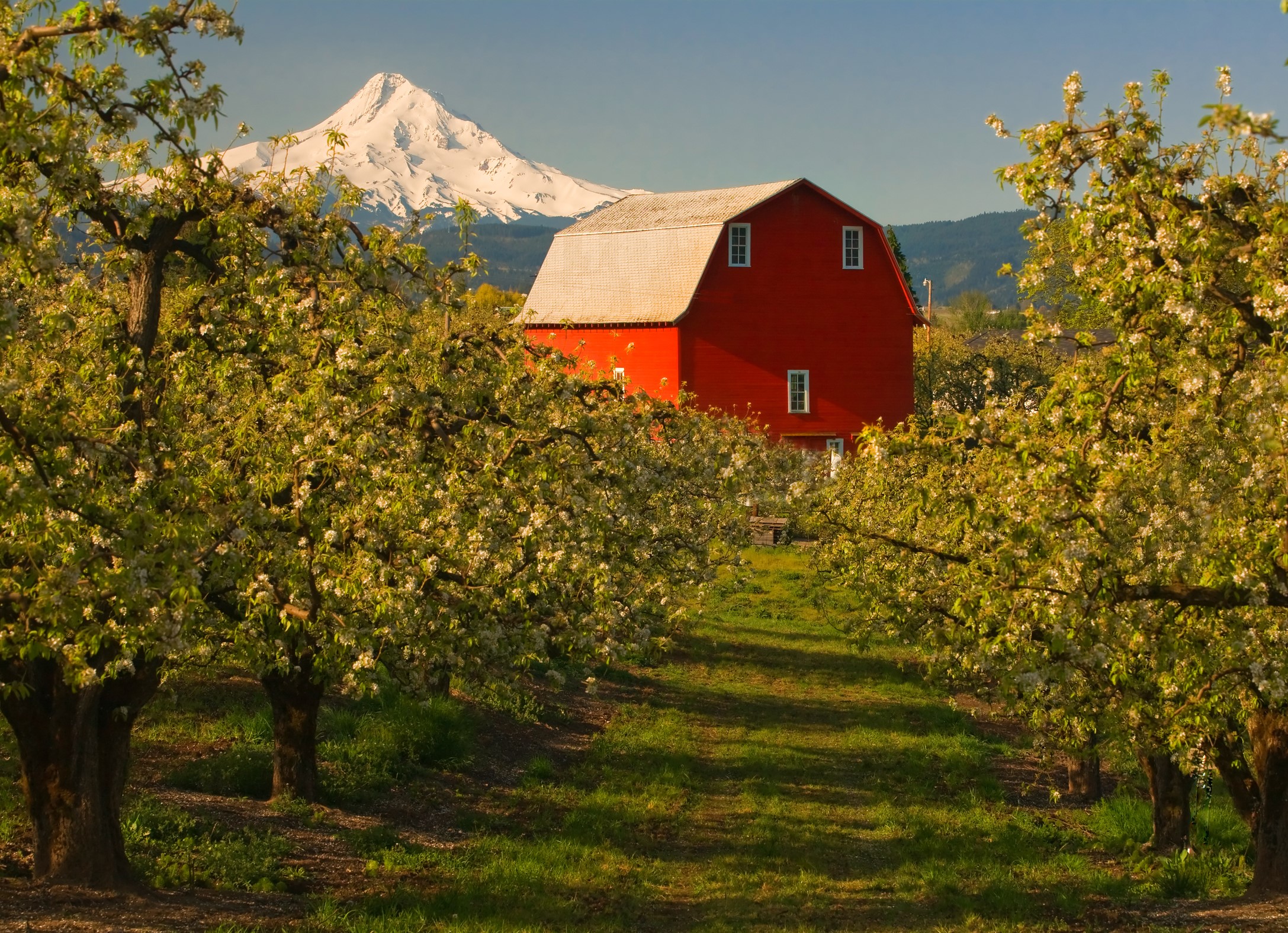 Red Barn in distance in a field. Chubb - Chubb Agribusiness 