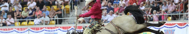 Rodeo event rough stock rider