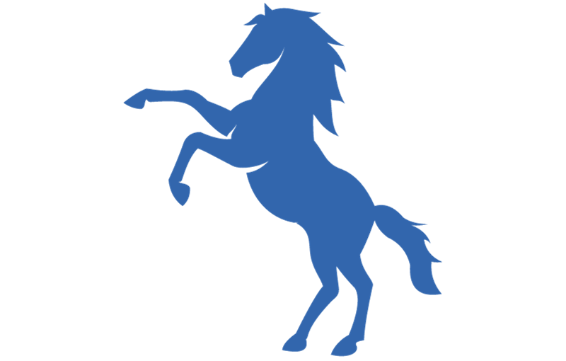 Blue Horse Equine and Equestrian Coverage
