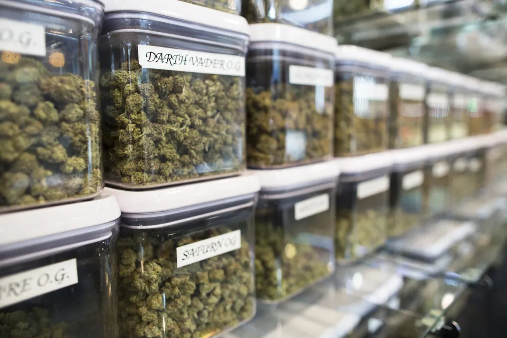 Medical Marijuana Dispensary Insurance - Cannabis Dispensary Insurance - Contact Us Red Button Left Side